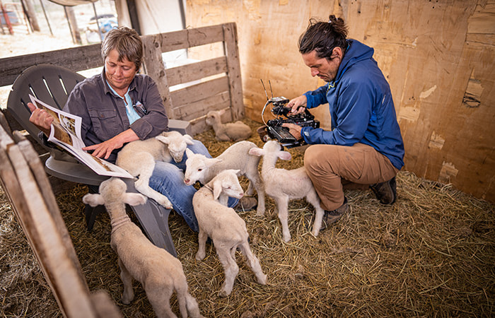 Days Edge Productions Lambs
